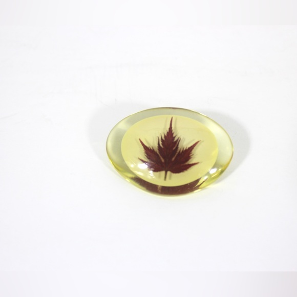 Maple Leaf in Resin Pin, Vintage Brooch Japanese Maple Canadian Souvenir Canada - Picture 6 of 6